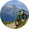Trailblazeralpin