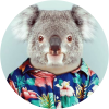 Le Koala lyonnais