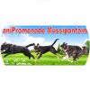 CaniRando Mussipontaine