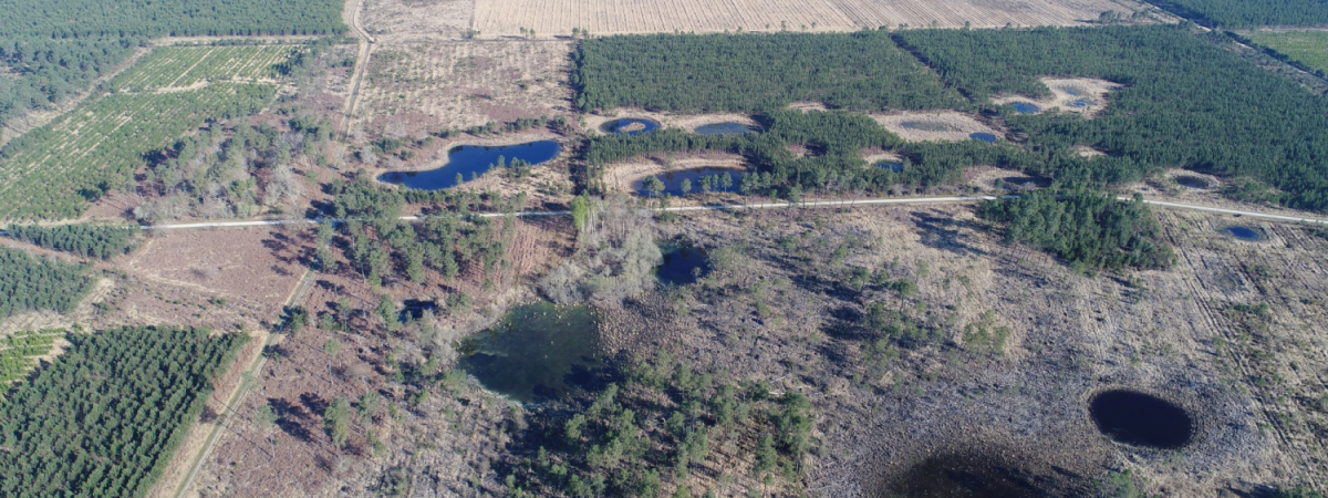 Parc naturel régional des Landes de Gascogne