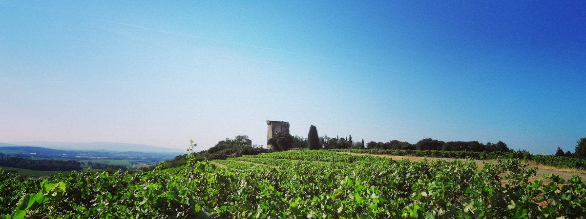 Office de Tourisme de Châteauneuf du Pape
