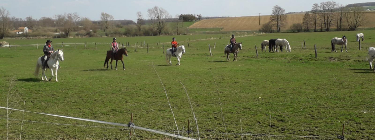 Ferme Equestre du Vallon