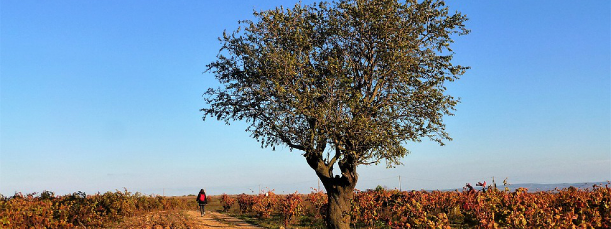 Vivez nature en pays catalan