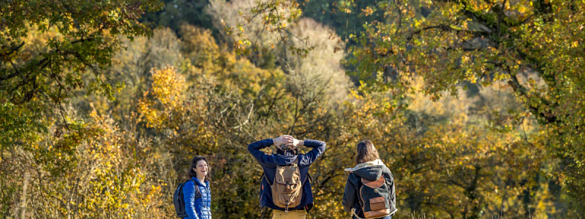 ADT Val de Loire - Loir-et-Cher