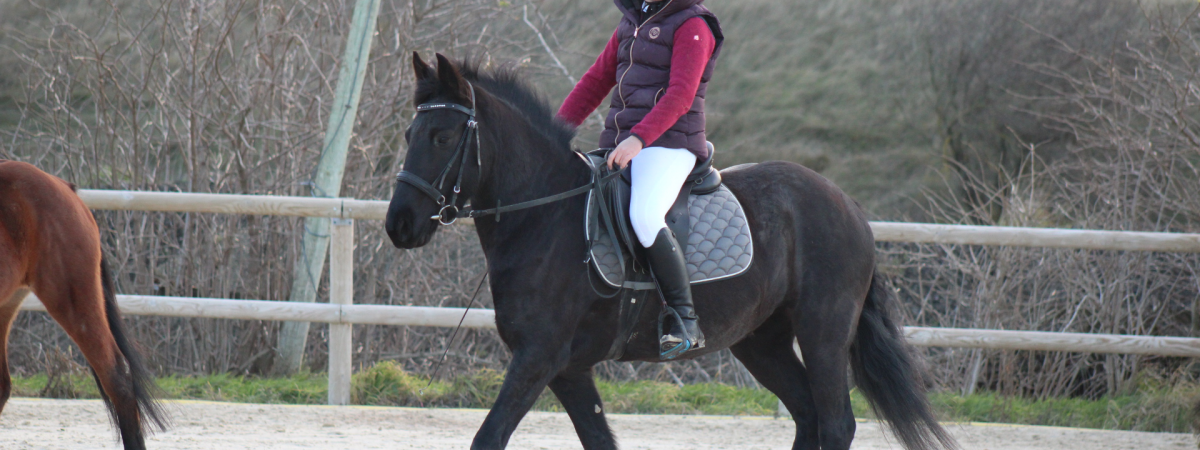 Randonnée cheval Aubignas