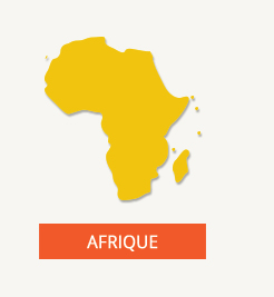 Sélection cartes et guides Afrique de la Boutique loisirs IGN